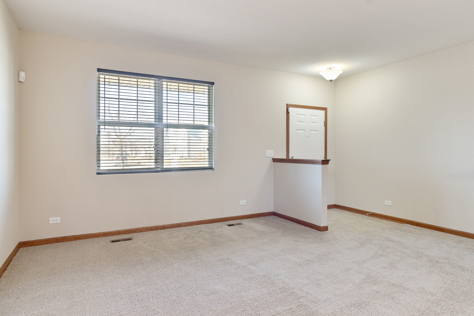 965 Brahms Road Volo, IL 60073 - Photo 4 of 30
