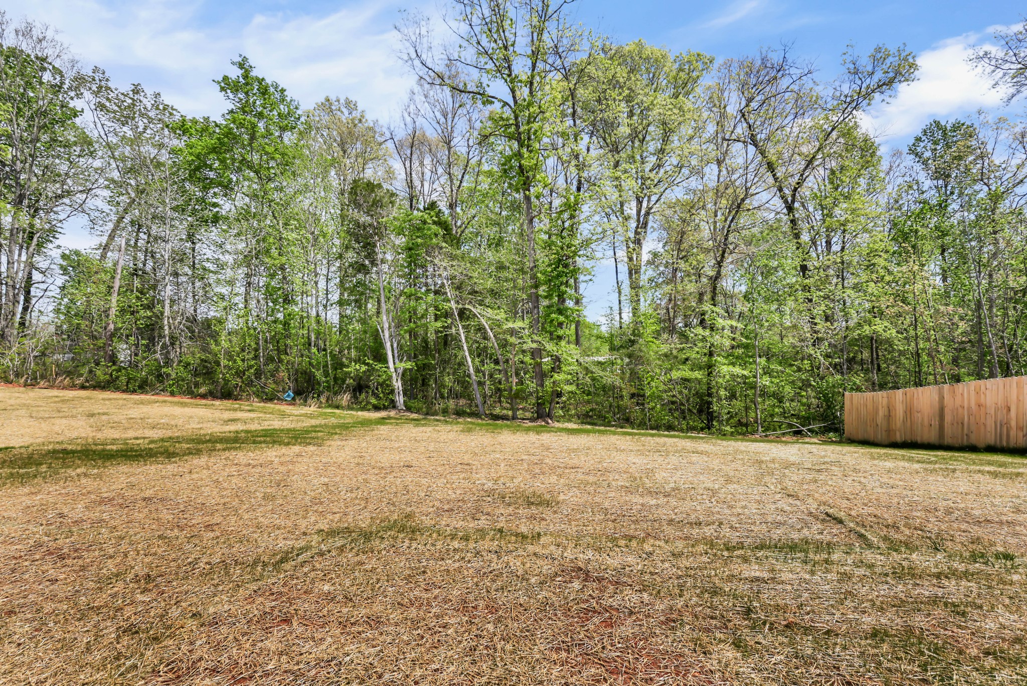 245 Wayne Hall Road Clarksville, TN 37040 - Photo 17 of 17