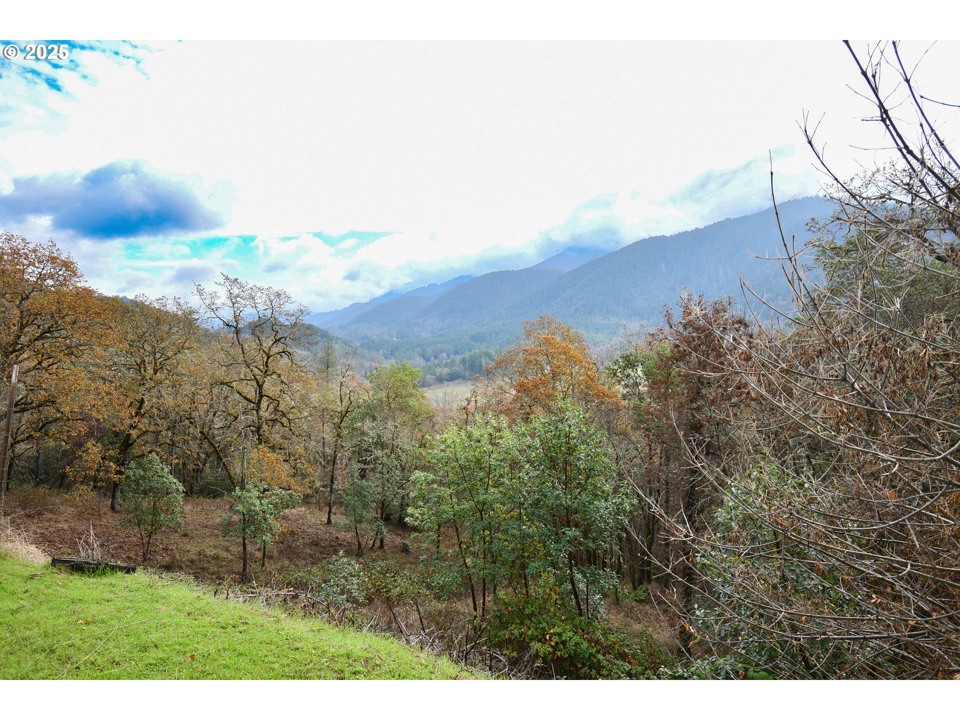 214 Thompson Road Riddle, OR 97469 - Photo 32 of 47