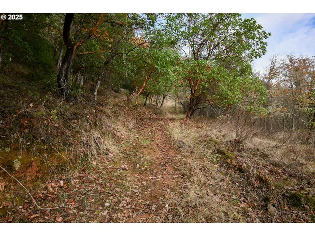 $289,900 | 214 Thompson Road, Riddle, OR 97469