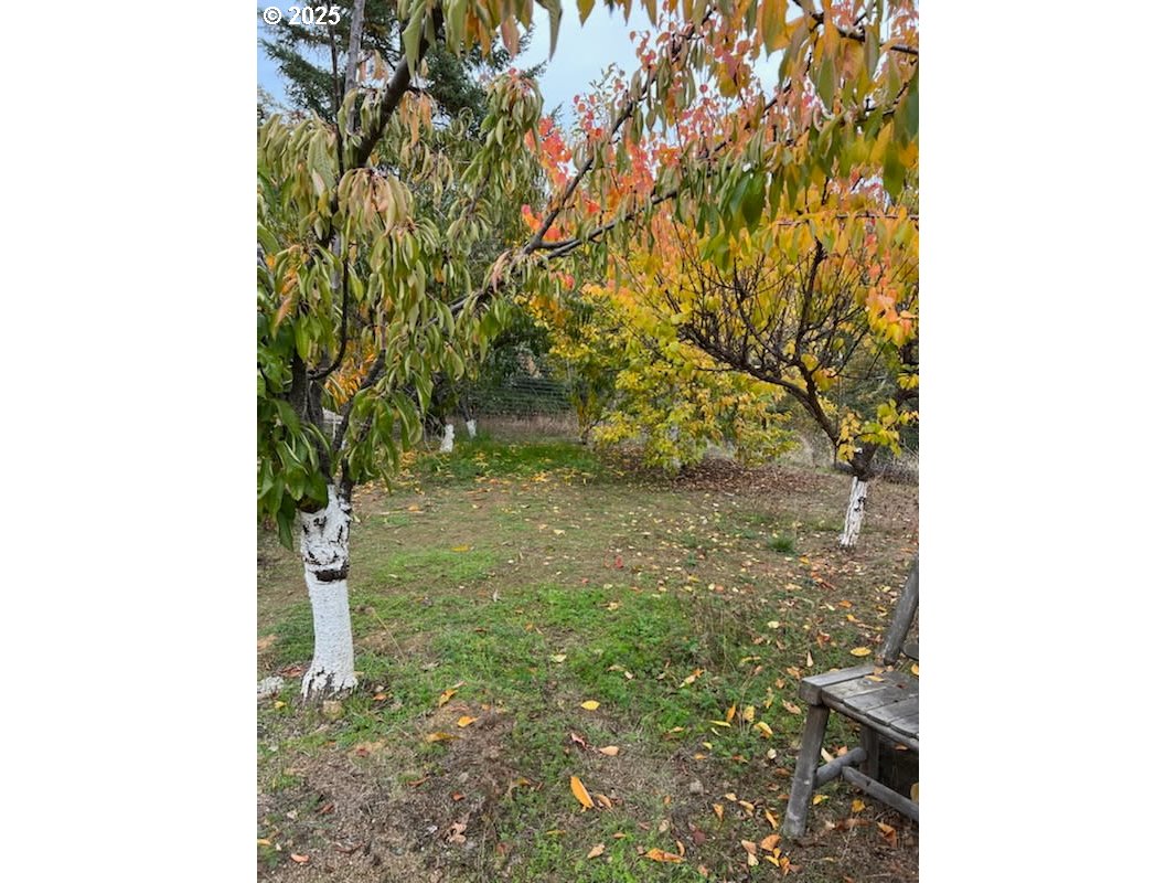 214 Thompson Road Riddle, OR 97469 - Photo 41 of 47