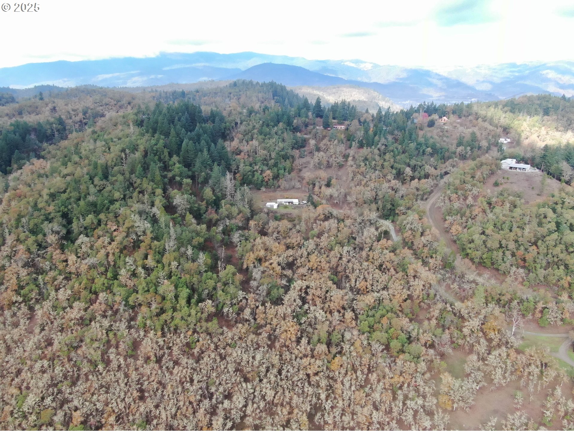 214 Thompson Road Riddle, OR 97469 - Photo 46 of 47