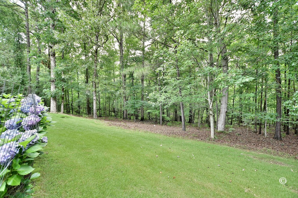 8990 River Road Columbus, GA 31904 - Photo 31 of 31 Landscaping/Private Backyard