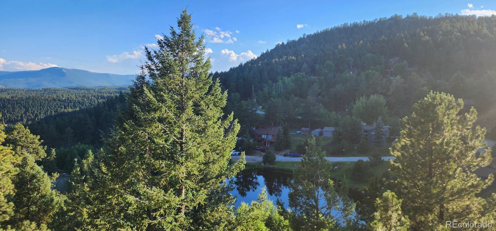 945 Wisp Creek Drive Bailey, CO 80421 - Photo 3 of 26 a view of a garden