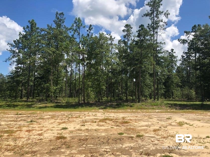 12359 Red Hill Rd Extension Bay Minette, AL 36507 - Photo 12 of 16