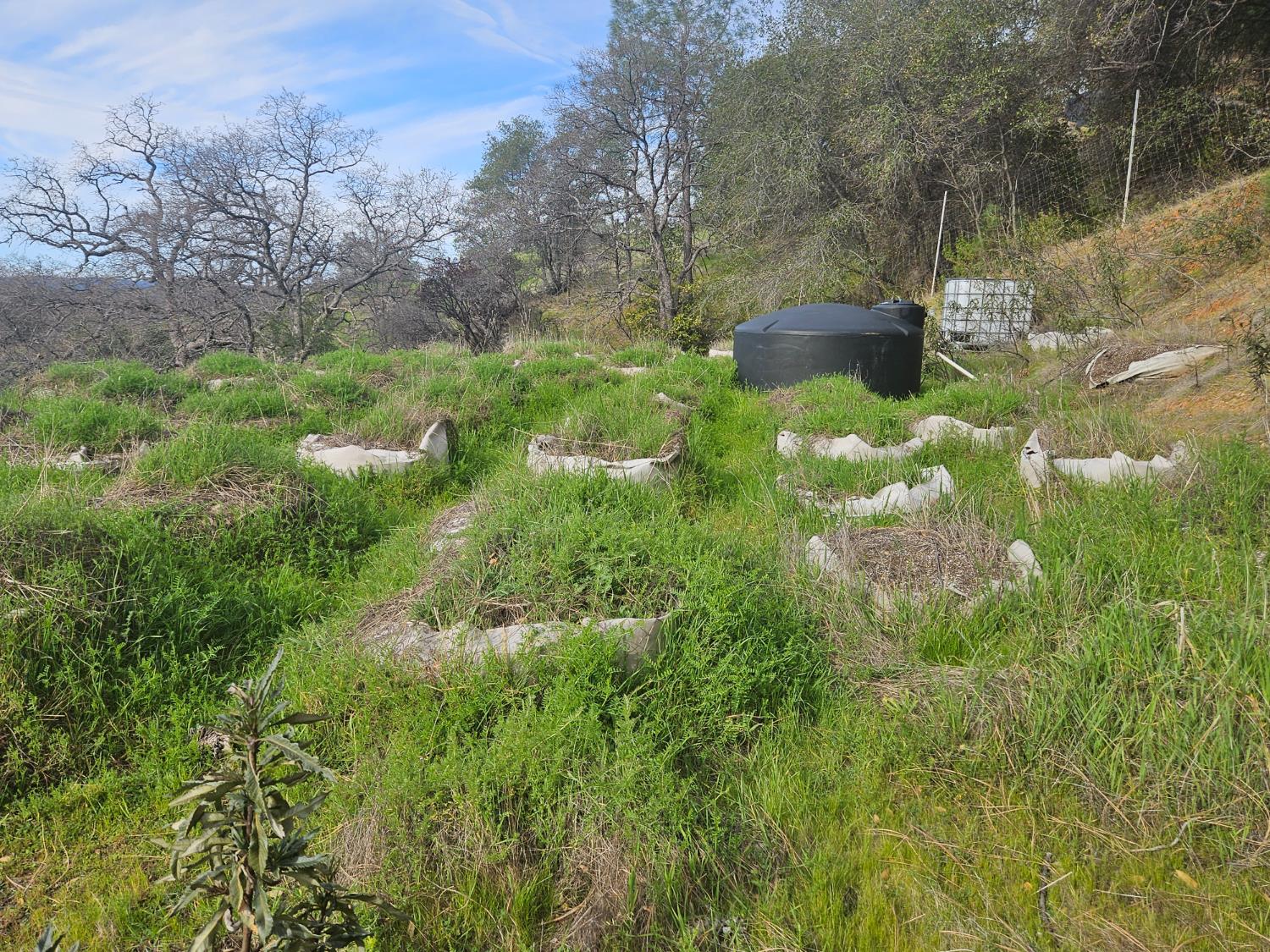 4394 Appaloosa Road Angels Camp, CA 95222 - Photo 11 of 30