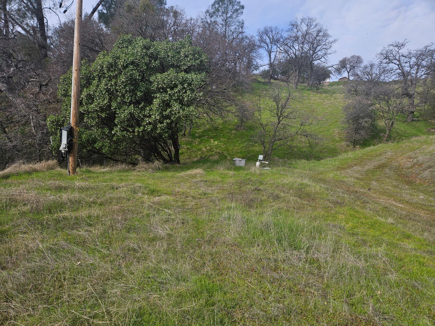 4394 Appaloosa Road Angels Camp, CA 95222 - Photo 18 of 31 a view of a green field
