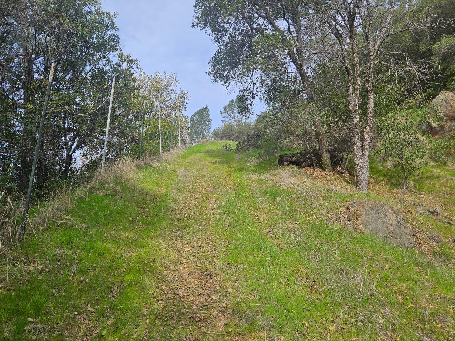 4394 Appaloosa Road Angels Camp, CA 95222 - Photo 20 of 30 Driveway on the property, going up to the top.