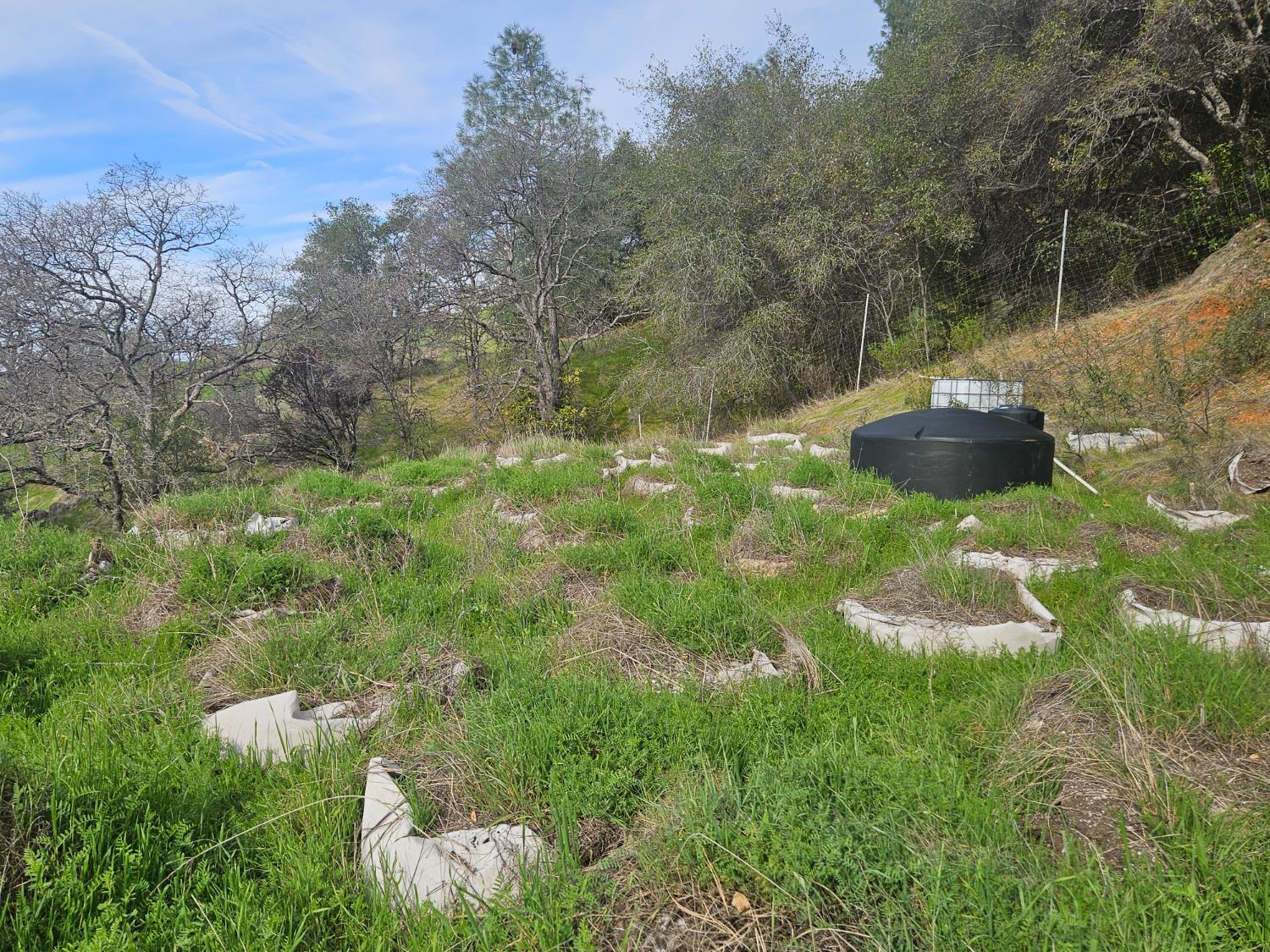4394 Appaloosa Road Angels Camp, CA 95222 - Photo 22 of 30 This area shows the holding tank at the top. The material you see in the photo will be removed. This is a potential build spot on top.