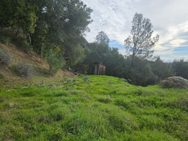 a view of a yard in front of house