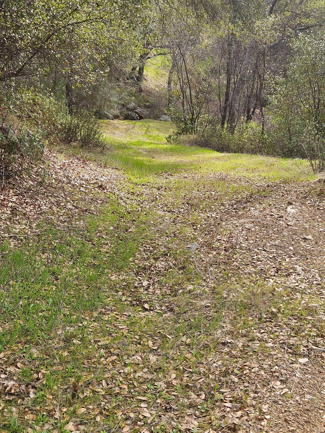 4394 Appaloosa Road Angels Camp, CA 95222 - Photo 26 of 31 a view of a yard with a fountain