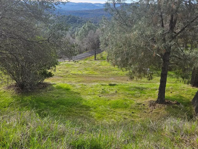 a view of outdoor space with a garden and trees all around