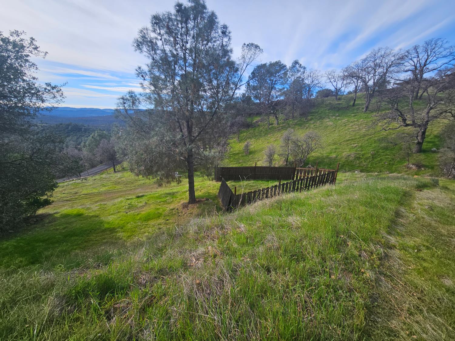 4394 Appaloosa Road Angels Camp, CA 95222 - Photo 29 of 31 a view of outdoor space with a garden and trees all around