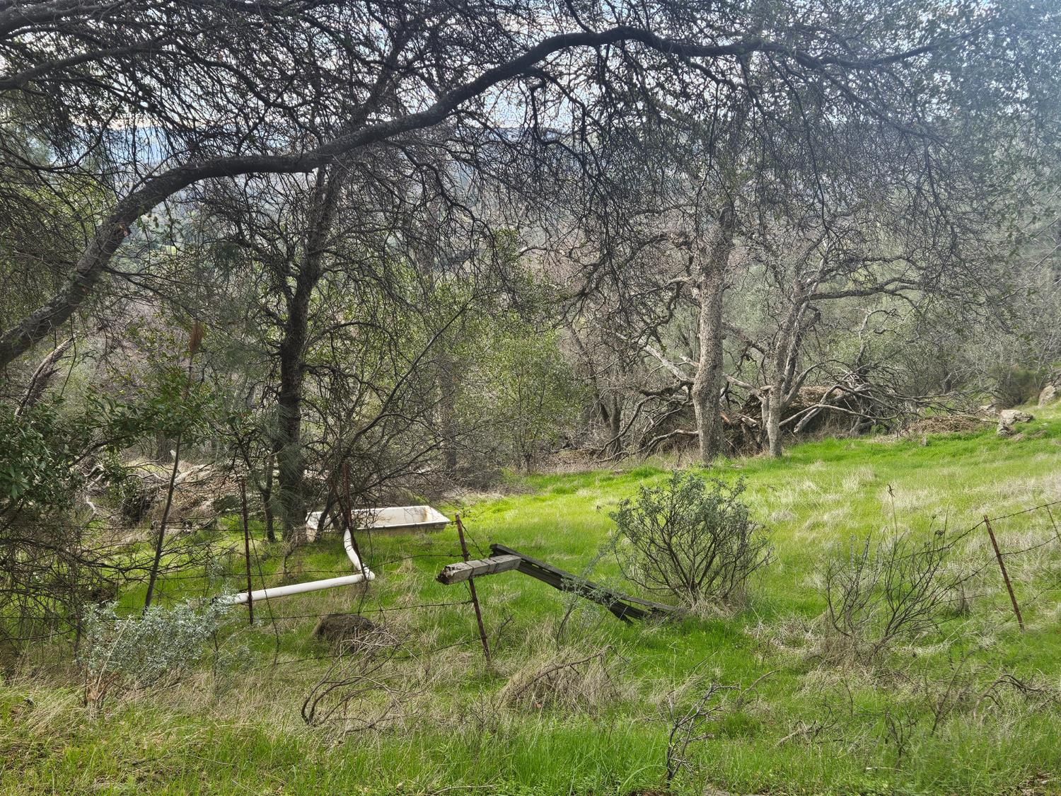4394 Appaloosa Road Angels Camp, CA 95222 - Photo 3 of 30 Seasonal creek brings water to the water trough (for cattle)