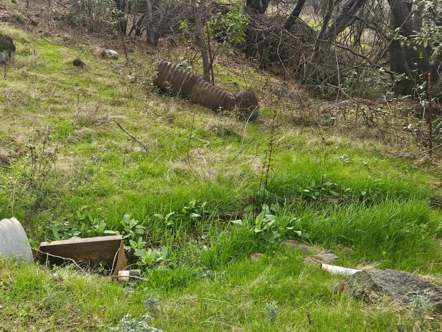 4394 Appaloosa Road Angels Camp, CA 95222 - Photo 4 of 30 Seasonal Creek