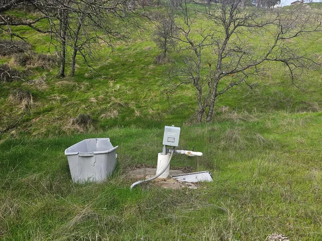 a view of a backyard with toilet