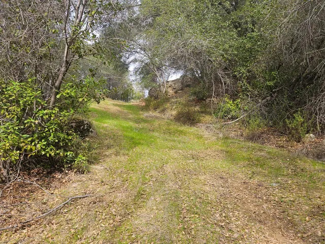a view of beach with green space