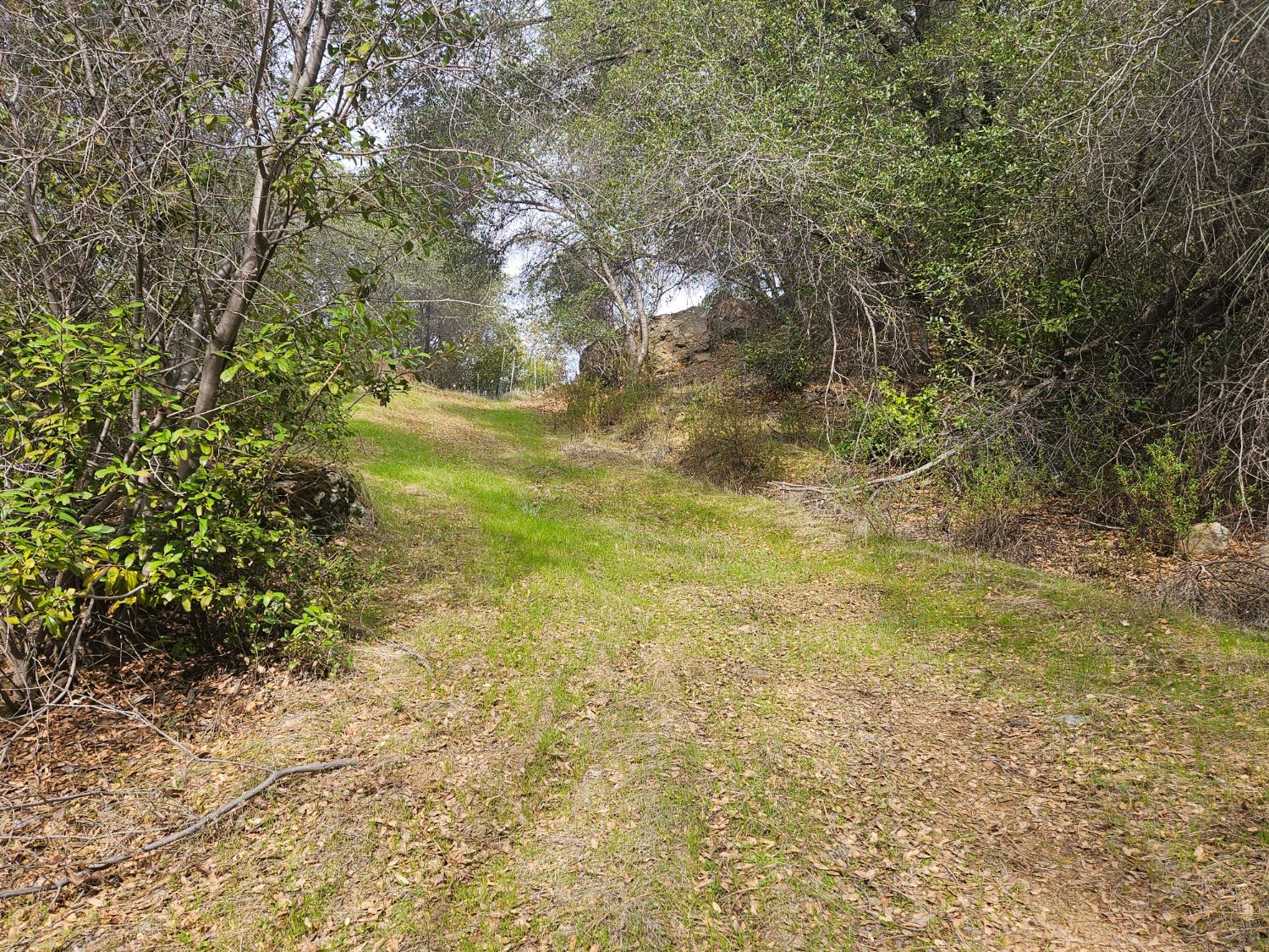 4394 Appaloosa Road Angels Camp, CA 95222 - Photo 9 of 30 Driveway going up to the top.