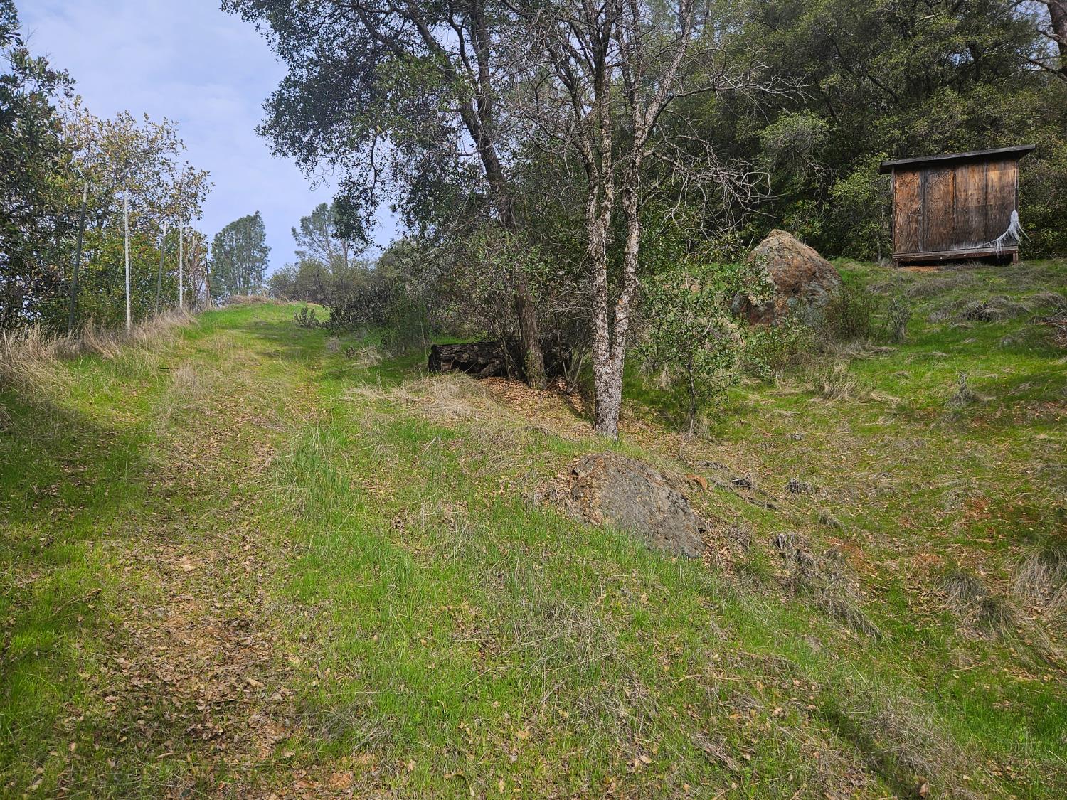 4394 Appaloosa Road Angels Camp, CA 95222 - Photo 10 of 30 On the driveway up, you'll see the little shed on the right.