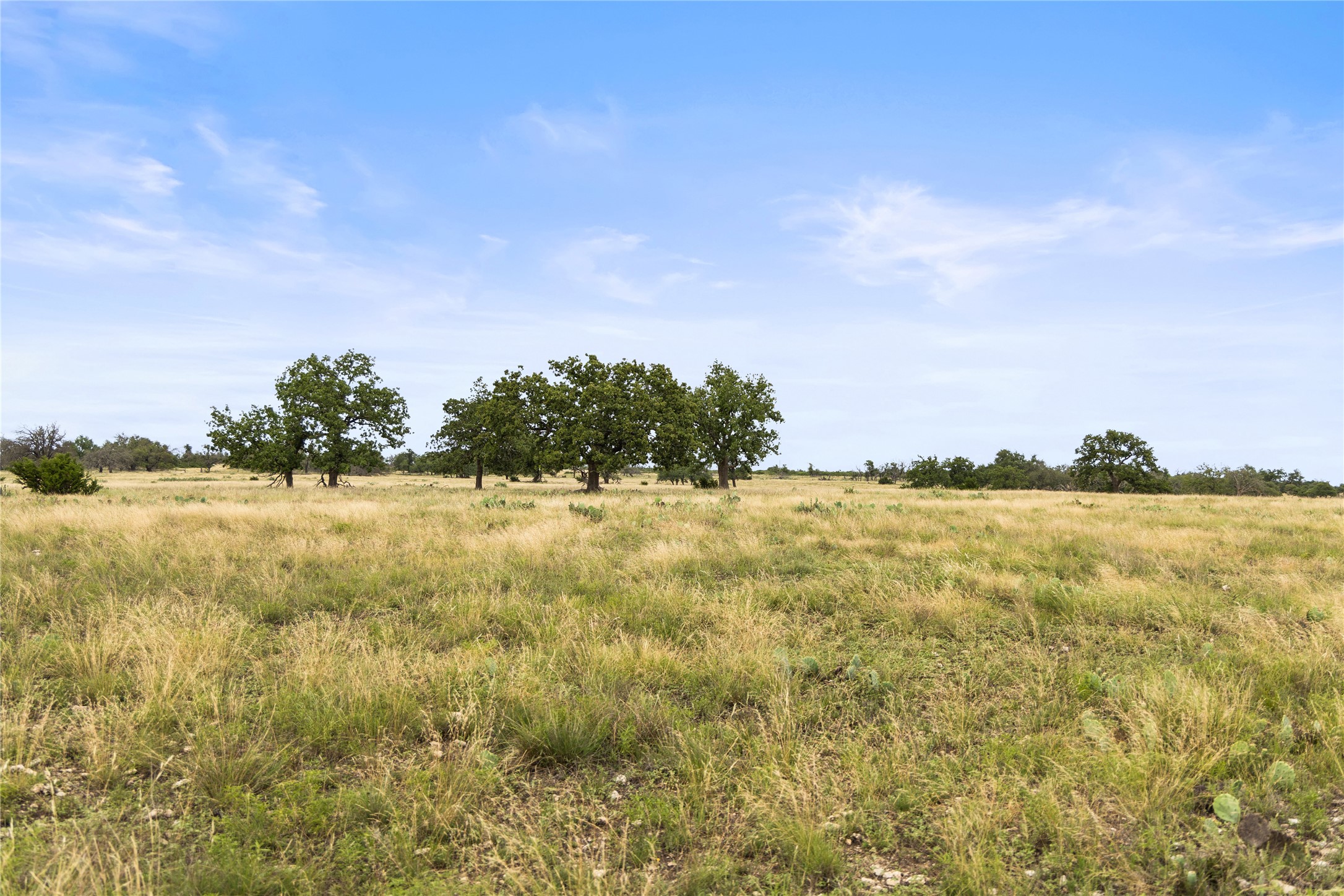 3049 Reservation Road Harper, TX 78631 - Photo 31 of 40 a view of lake view and mountain