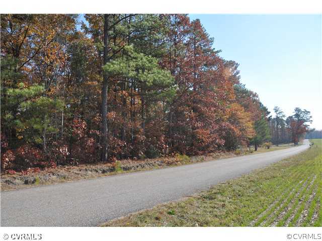 15111 Keelers Mill Road Dewitt, VA 23840 - Photo 3 of 5 a view of a yard with large trees