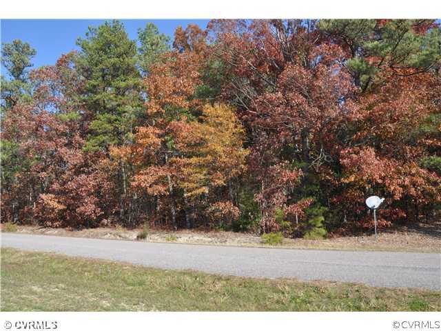 15111 Keelers Mill Road Dewitt, VA 23840 - Photo 5 of 5 a view of outdoor space and yard