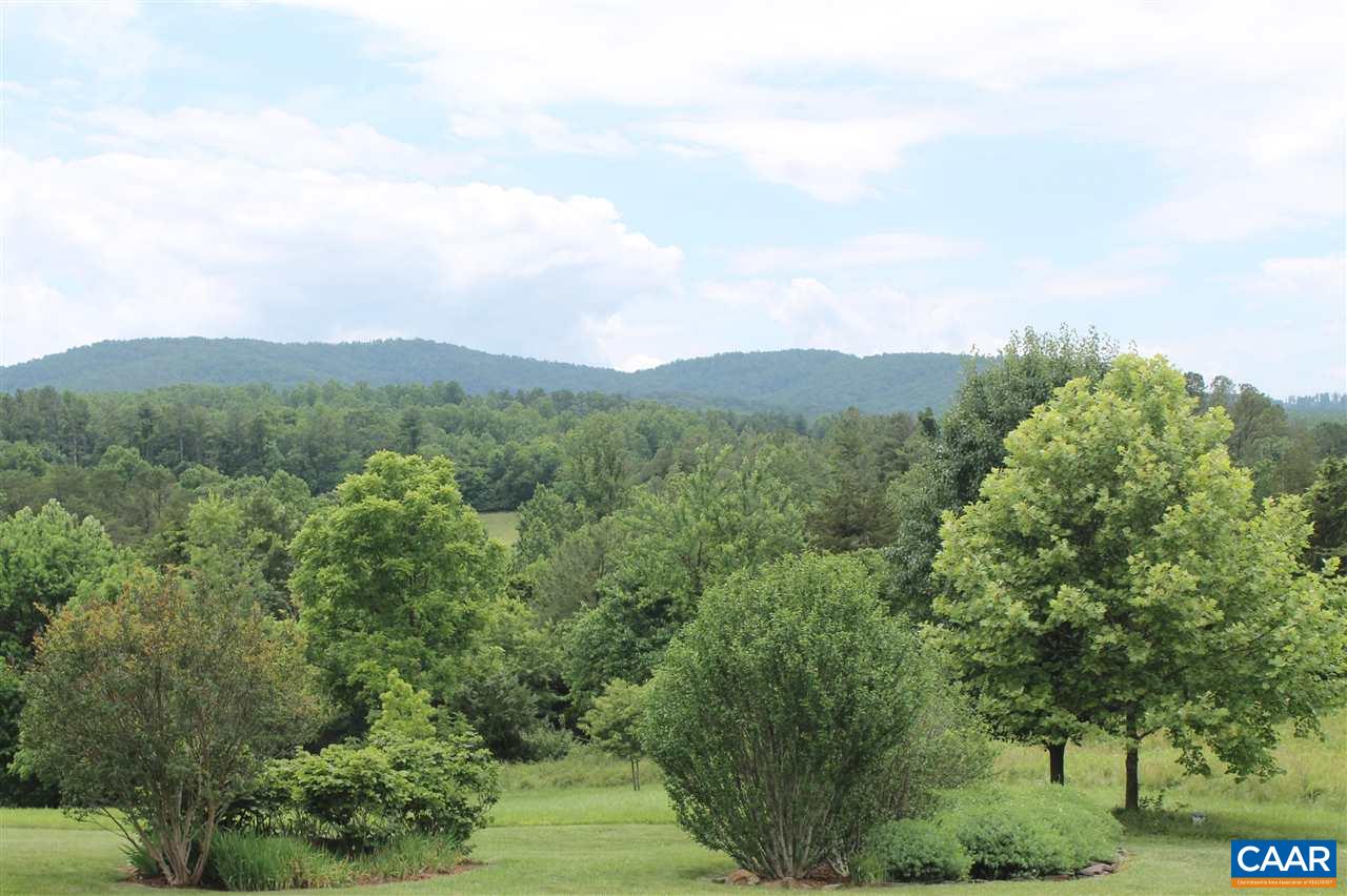 2901 Riggory Ridge Road Charlottesville, VA 22911 - Photo 3 of 12 a view of a lush green forest with trees in the background