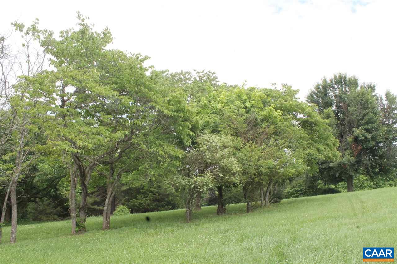 2901 Riggory Ridge Road Charlottesville, VA 22911 - Photo 4 of 12 a view of a trees with a yard