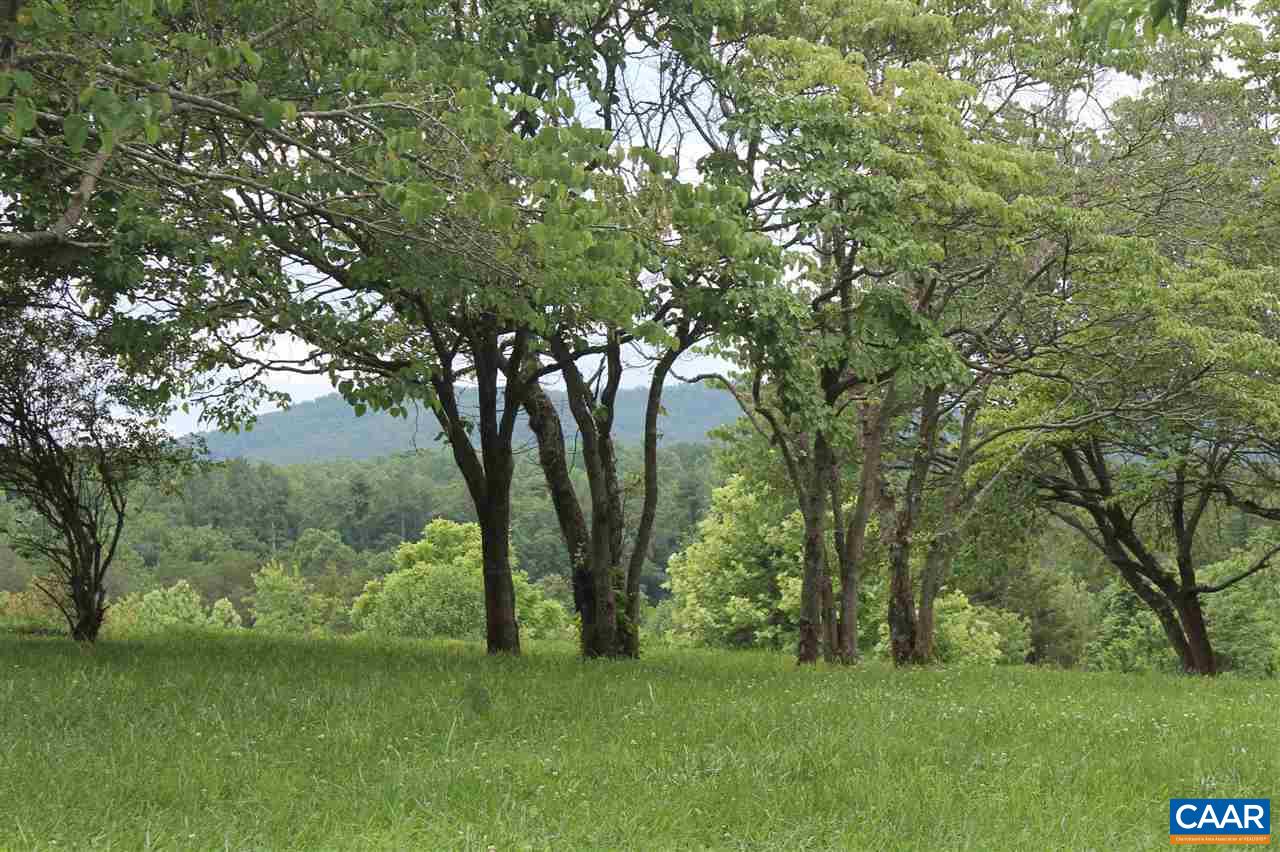 2901 Riggory Ridge Road Charlottesville, VA 22911 - Photo 7 of 12 a view of lush green forest
