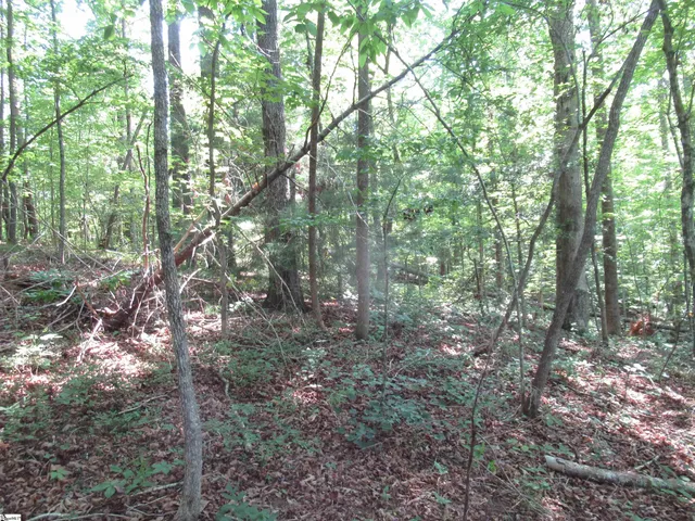 $20,000 | 205 Gauley Falls Road, Pickens, SC 29671