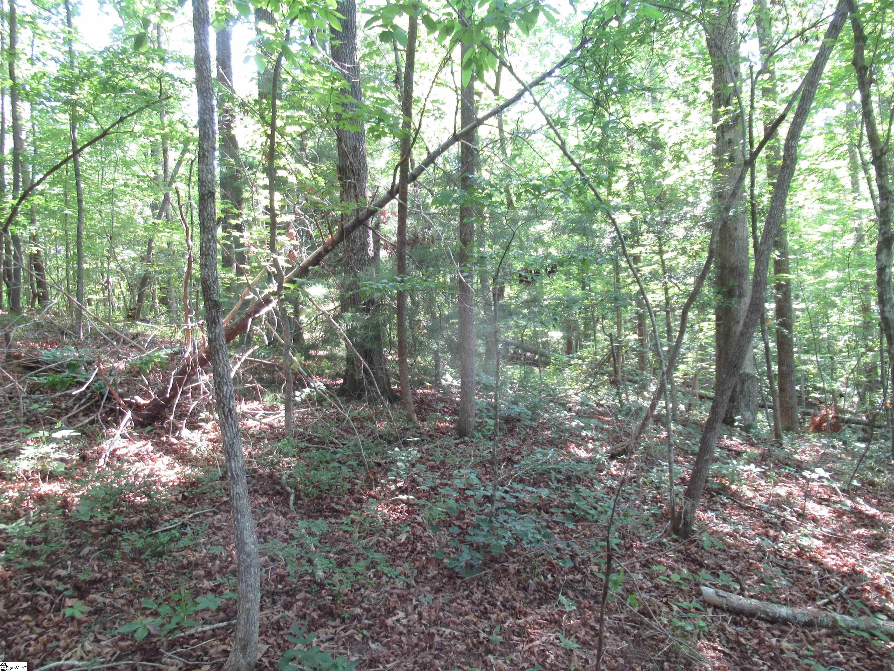 205 Gauley Falls Road Pickens, SC 29671 - Photo 11 of 35