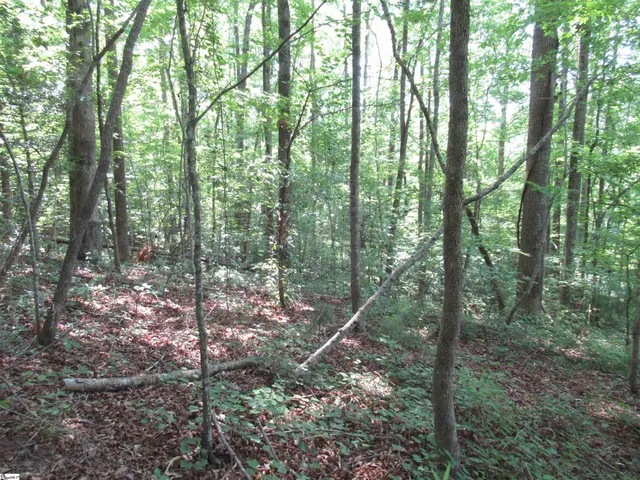 $20,000 | 205 Gauley Falls Road, Pickens, SC 29671