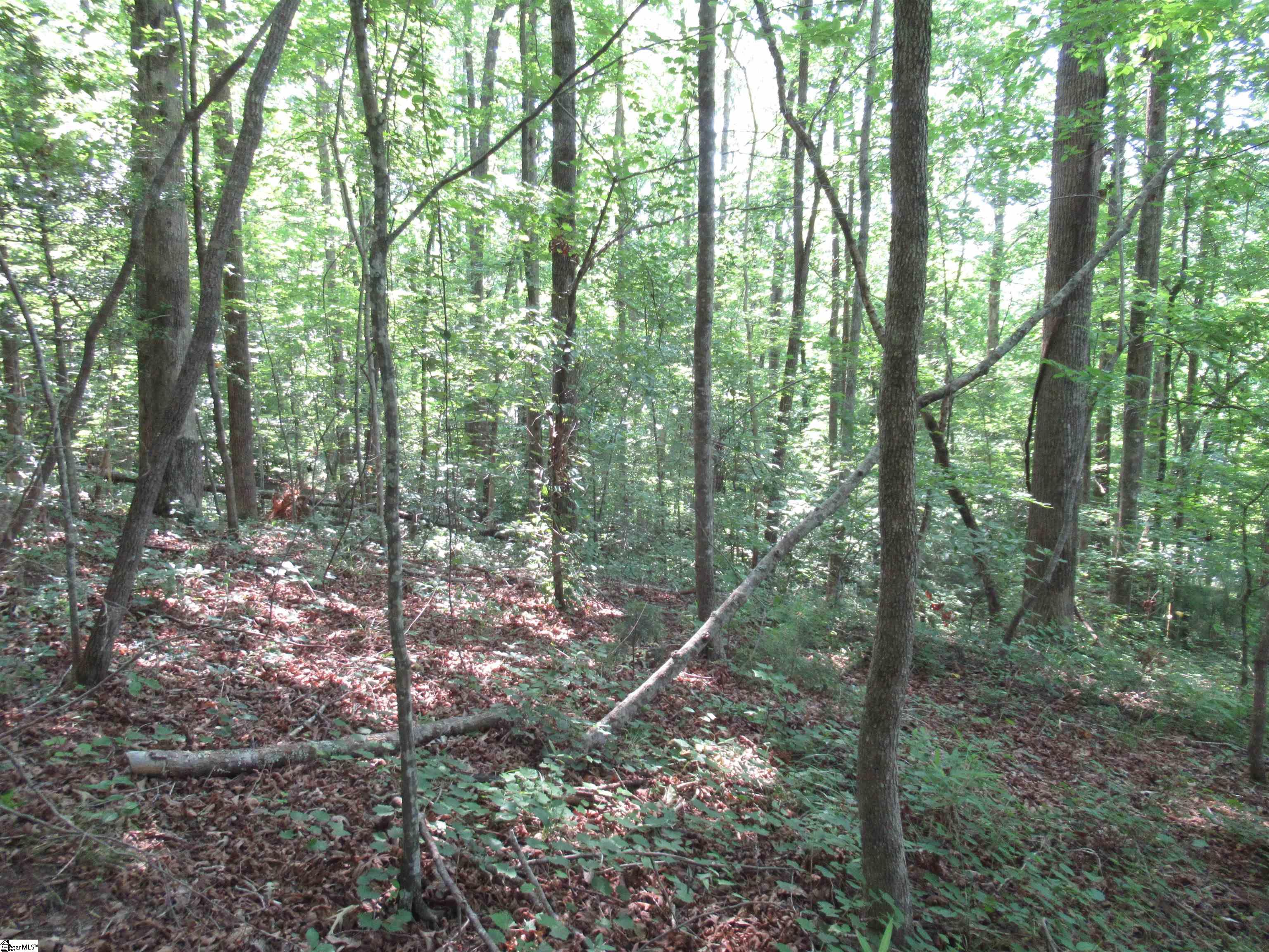 205 Gauley Falls Road Pickens, SC 29671 - Photo 12 of 35