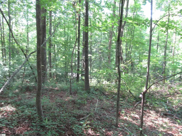 $20,000 | 205 Gauley Falls Road, Pickens, SC 29671