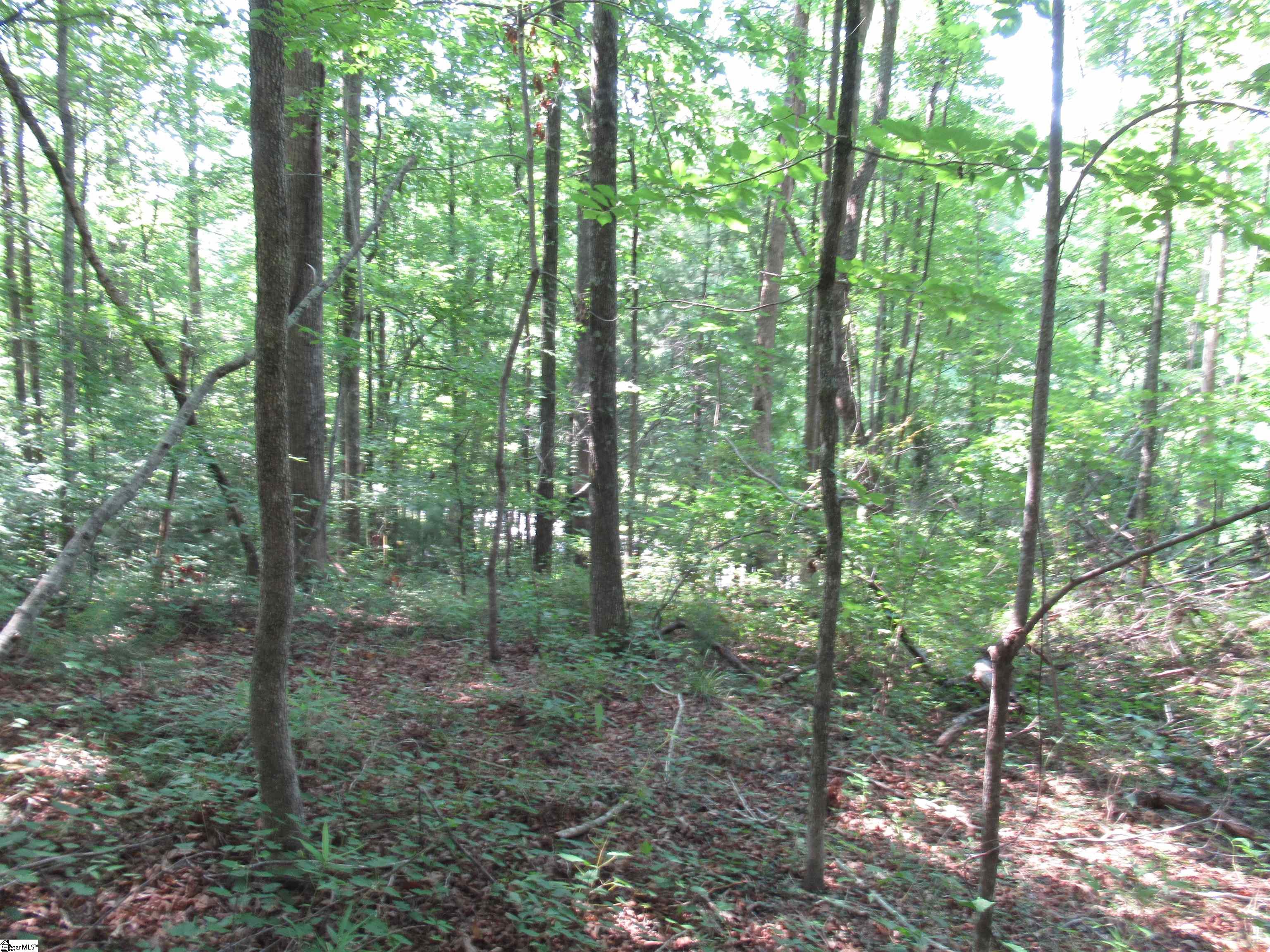 205 Gauley Falls Road Pickens, SC 29671 - Photo 13 of 35