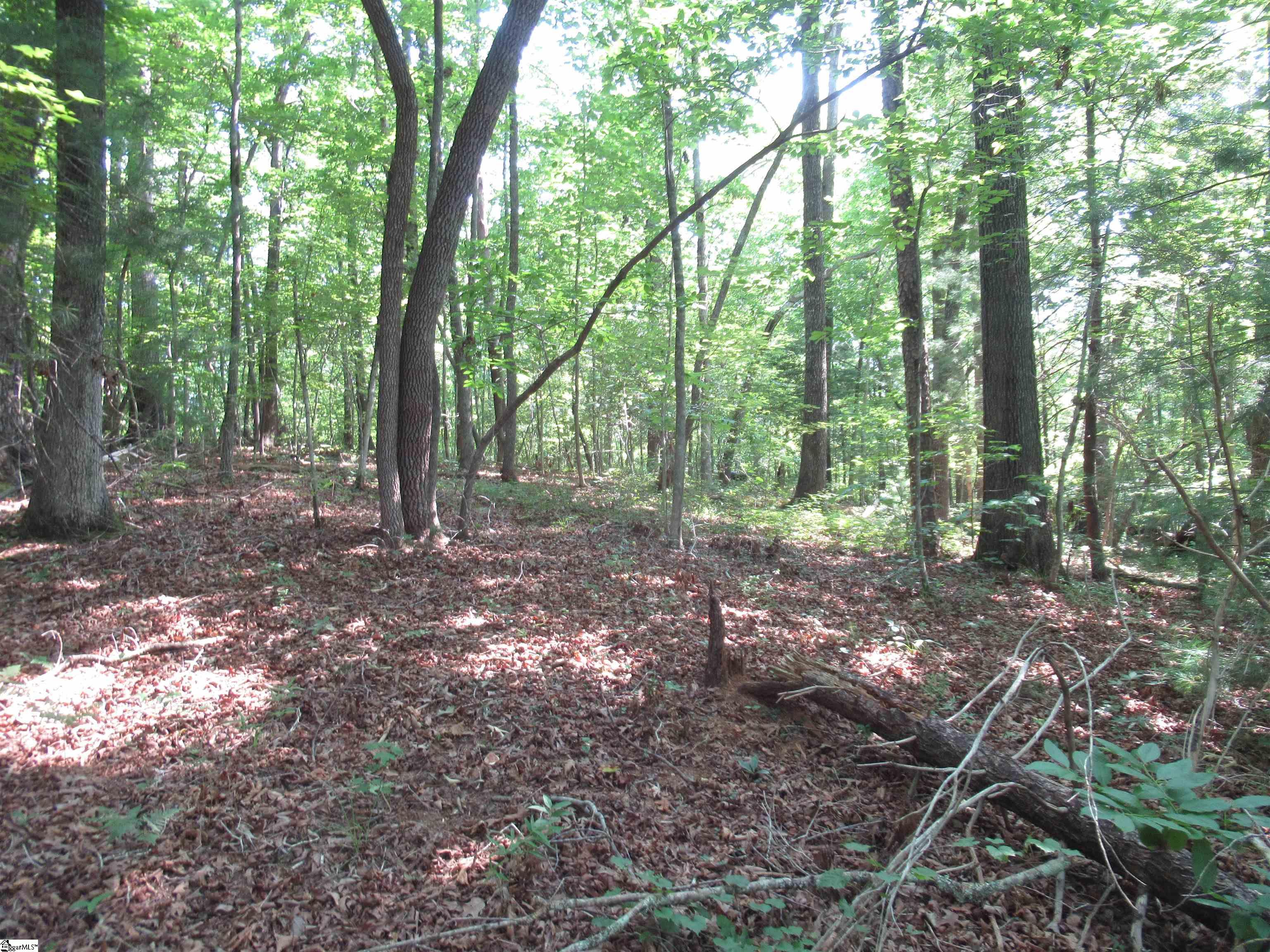 205 Gauley Falls Road Pickens, SC 29671 - Photo 14 of 35