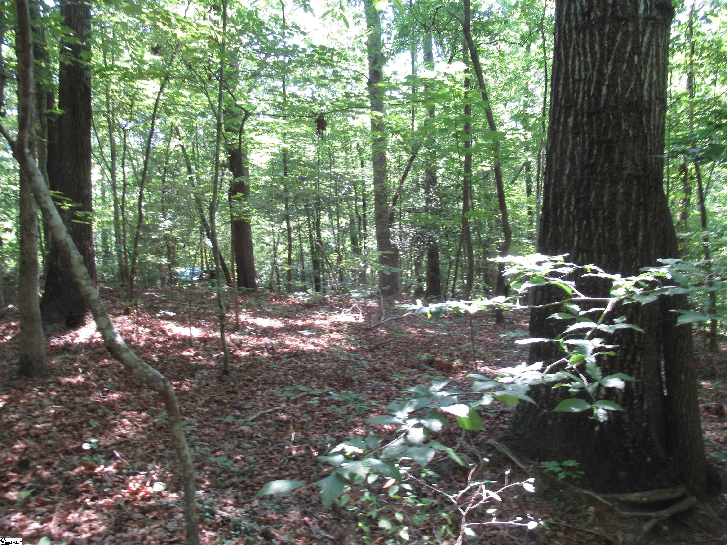 205 Gauley Falls Road Pickens, SC 29671 - Photo 16 of 35