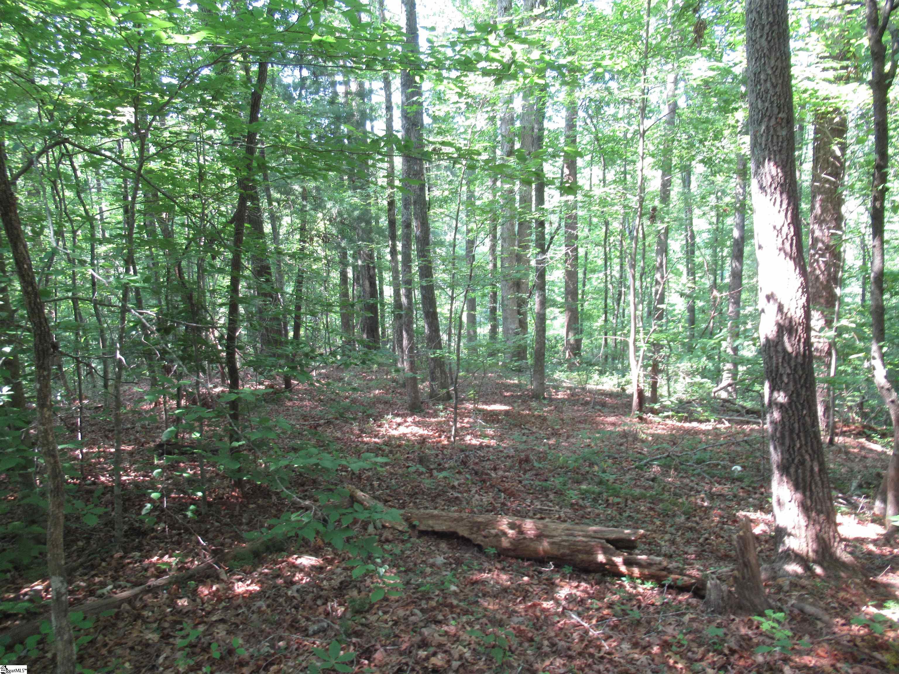 205 Gauley Falls Road Pickens, SC 29671 - Photo 18 of 35