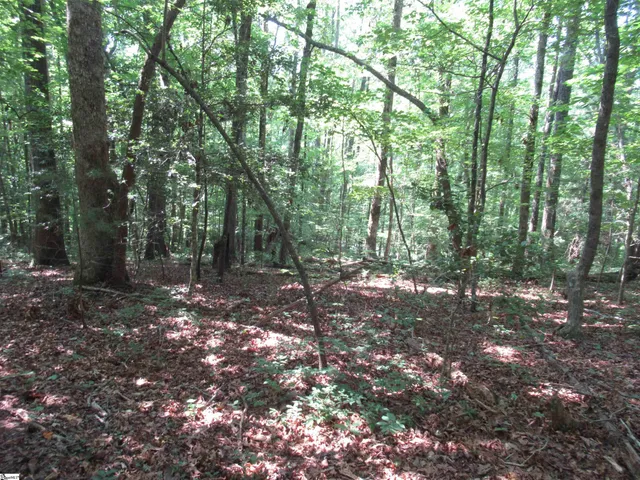 $20,000 | 205 Gauley Falls Road, Pickens, SC 29671