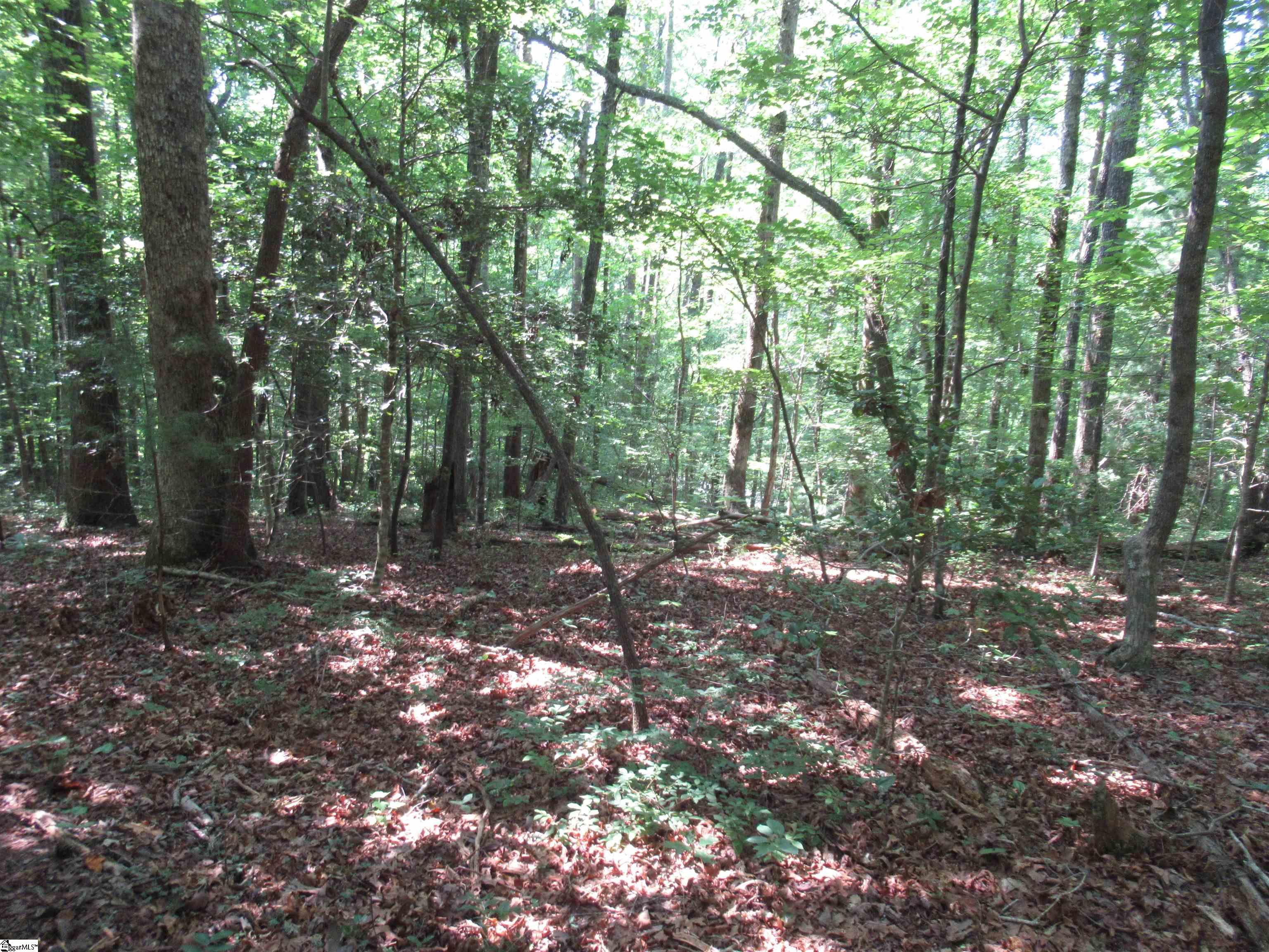 205 Gauley Falls Road Pickens, SC 29671 - Photo 19 of 35