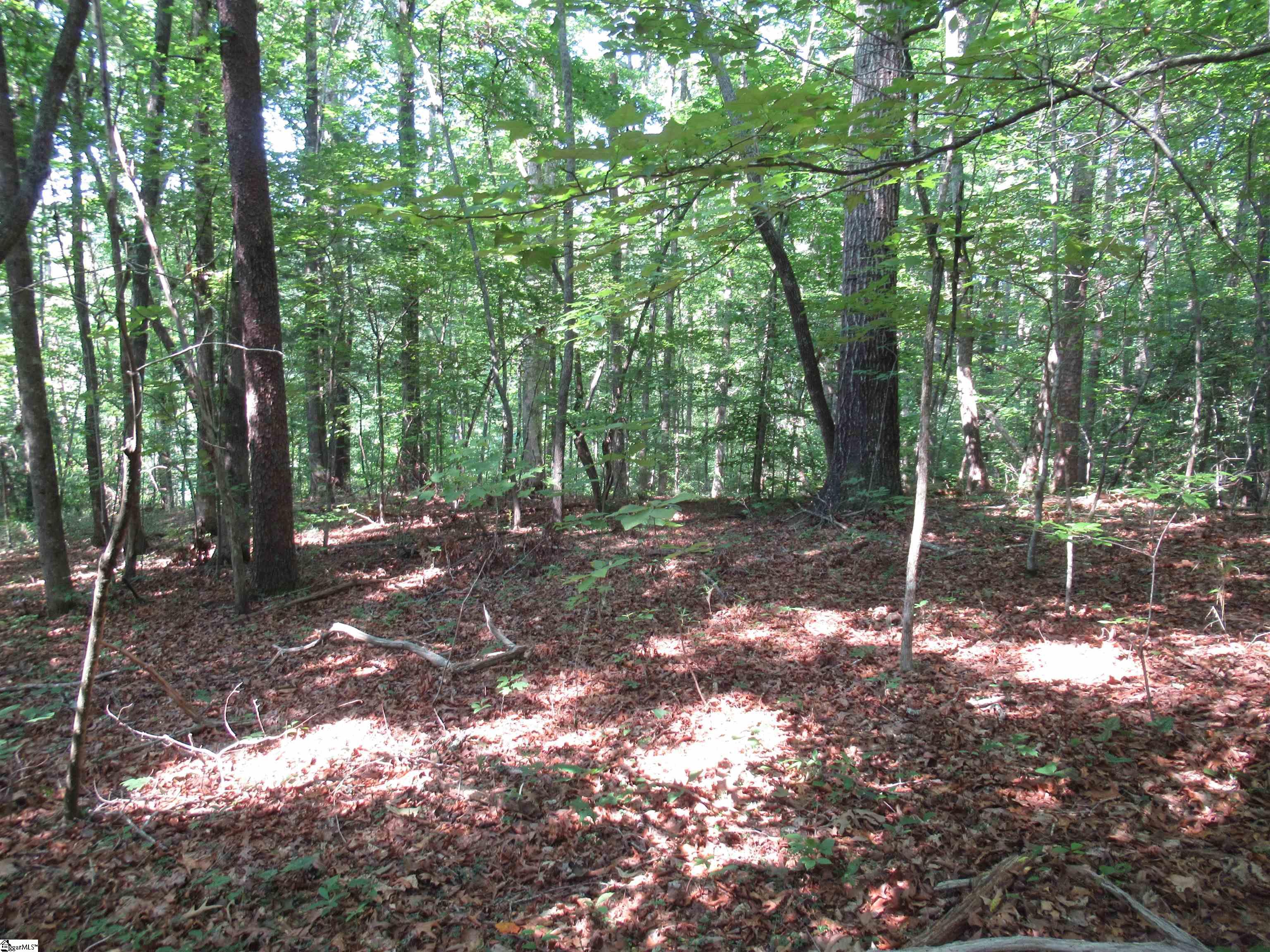 205 Gauley Falls Road Pickens, SC 29671 - Photo 20 of 35