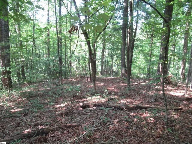 $20,000 | 205 Gauley Falls Road, Pickens, SC 29671