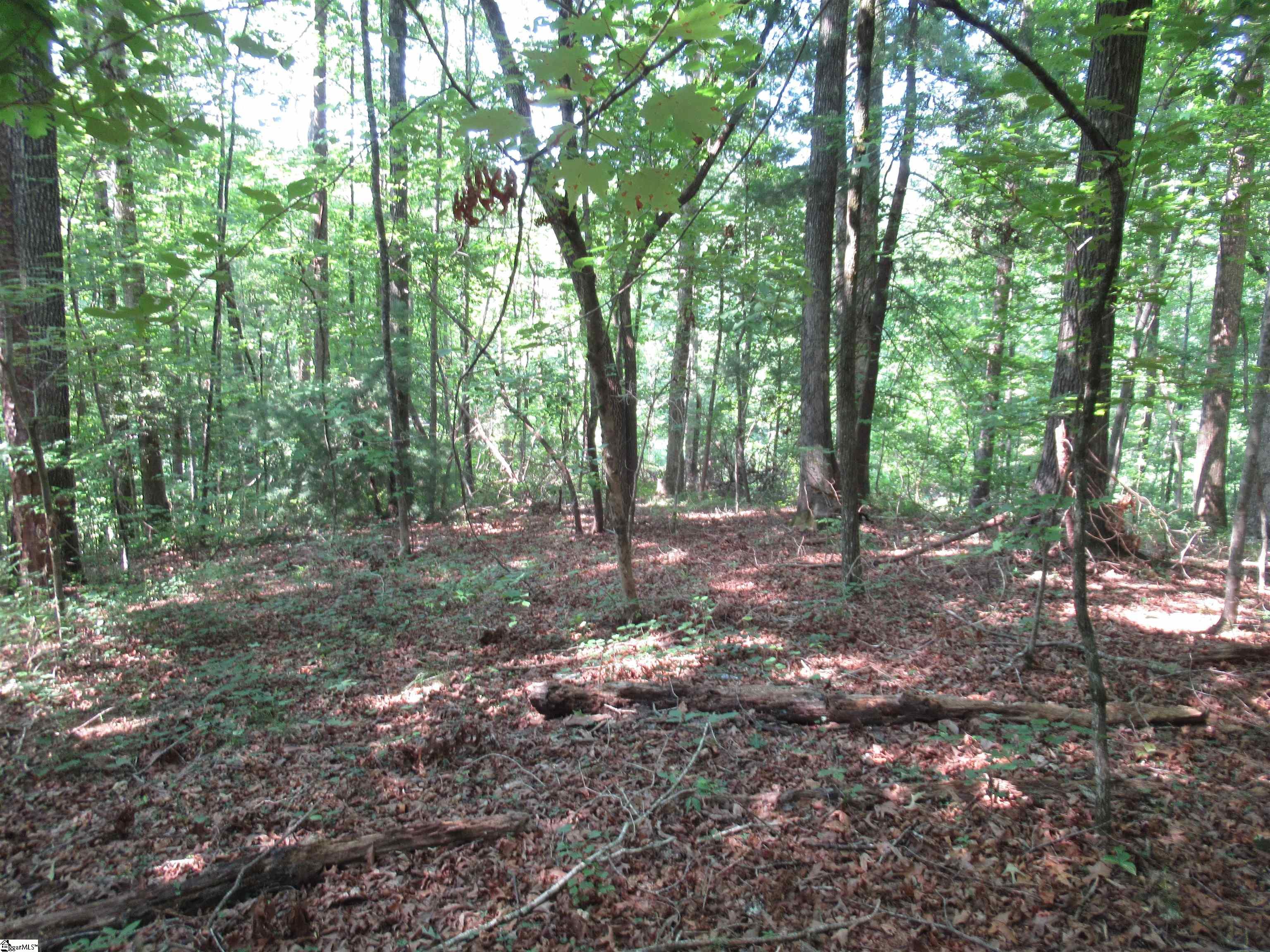 205 Gauley Falls Road Pickens, SC 29671 - Photo 2 of 35