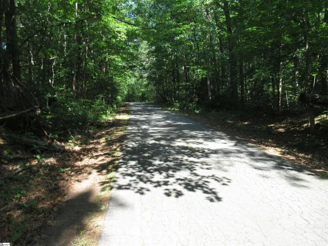 $20,000 | 205 Gauley Falls Road, Pickens, SC 29671