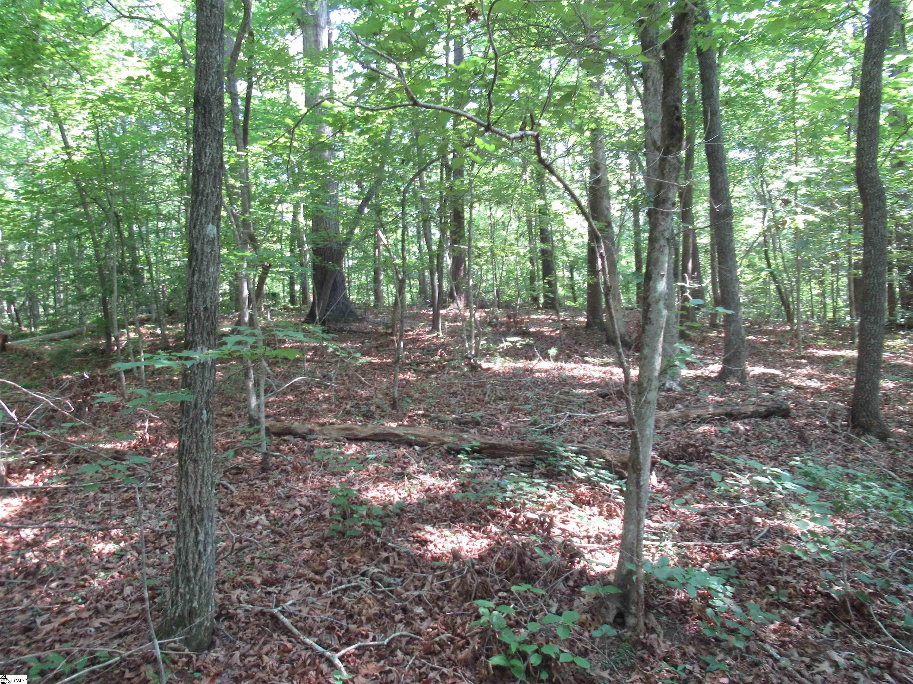 205 Gauley Falls Road Pickens, SC 29671 - Photo 3 of 35