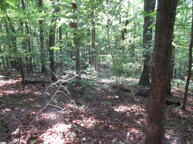 $20,000 | 205 Gauley Falls Road, Pickens, SC 29671