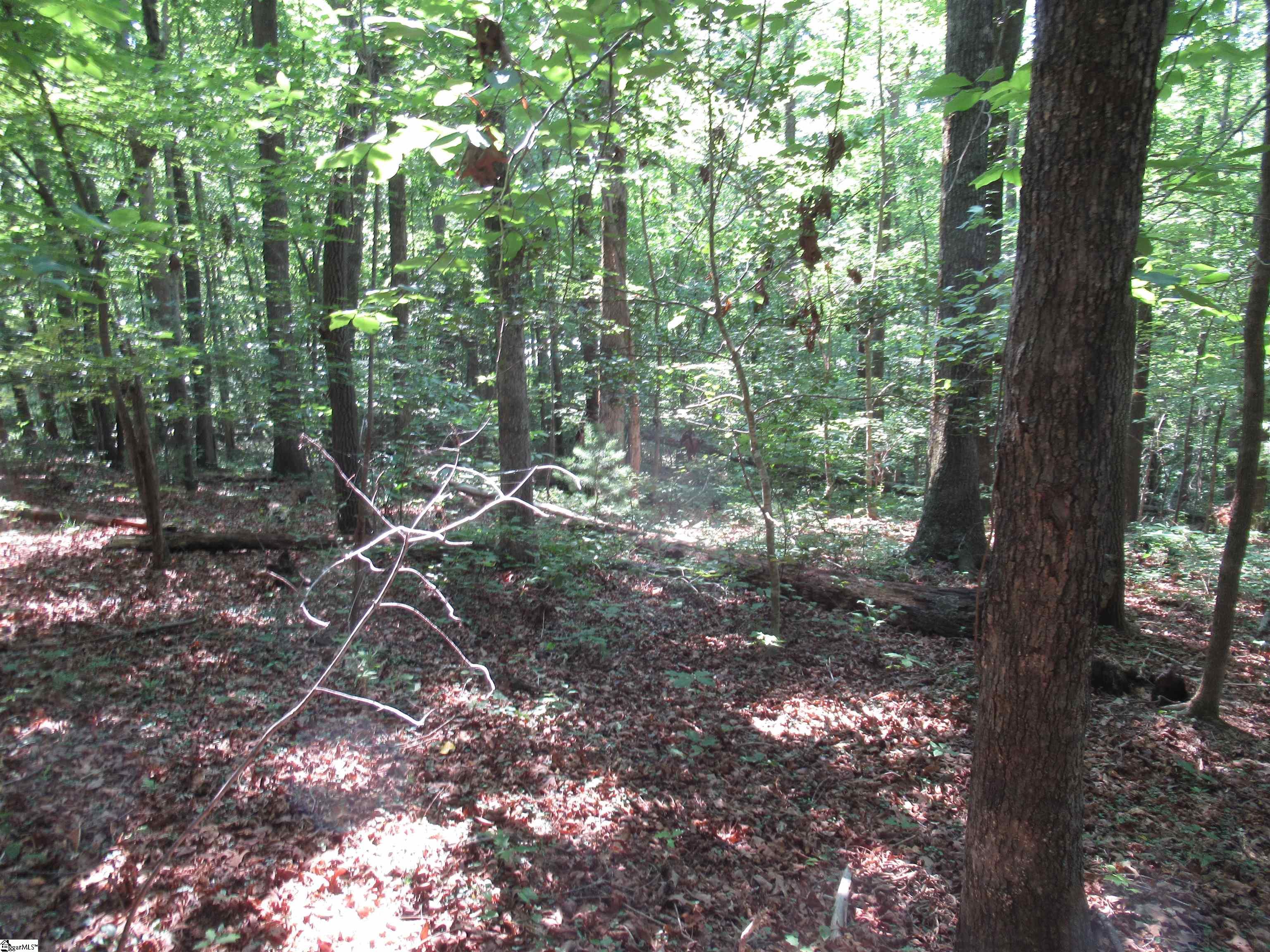 205 Gauley Falls Road Pickens, SC 29671 - Photo 4 of 35