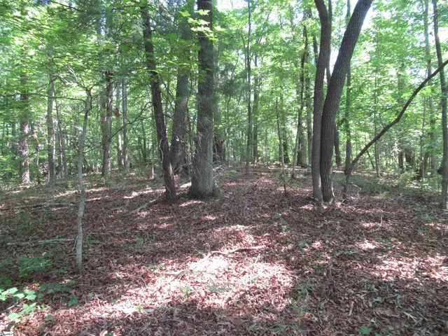 $20,000 | 205 Gauley Falls Road, Pickens, SC 29671