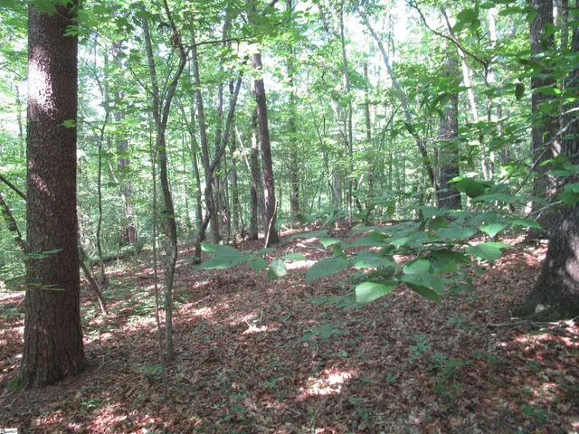 $20,000 | 205 Gauley Falls Road, Pickens, SC 29671