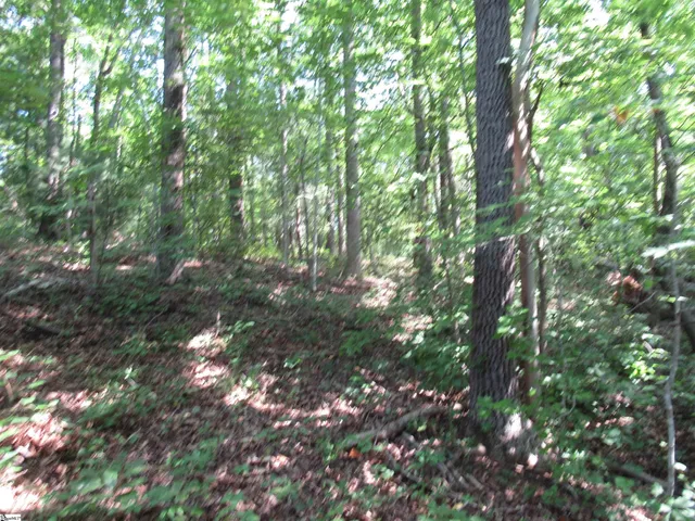 $20,000 | 205 Gauley Falls Road, Pickens, SC 29671